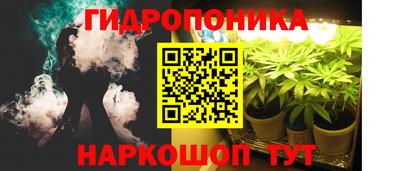 эйфоретик Будённовск