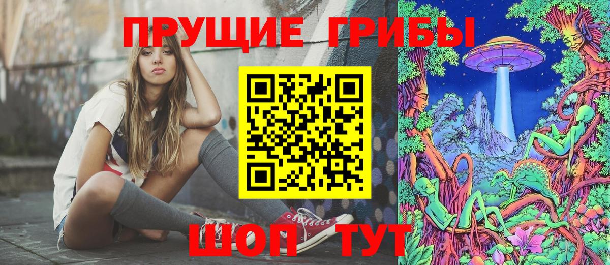закладки  Вход с VPN  Узловая  Псилоцибиновые грибы Magic Shrooms 