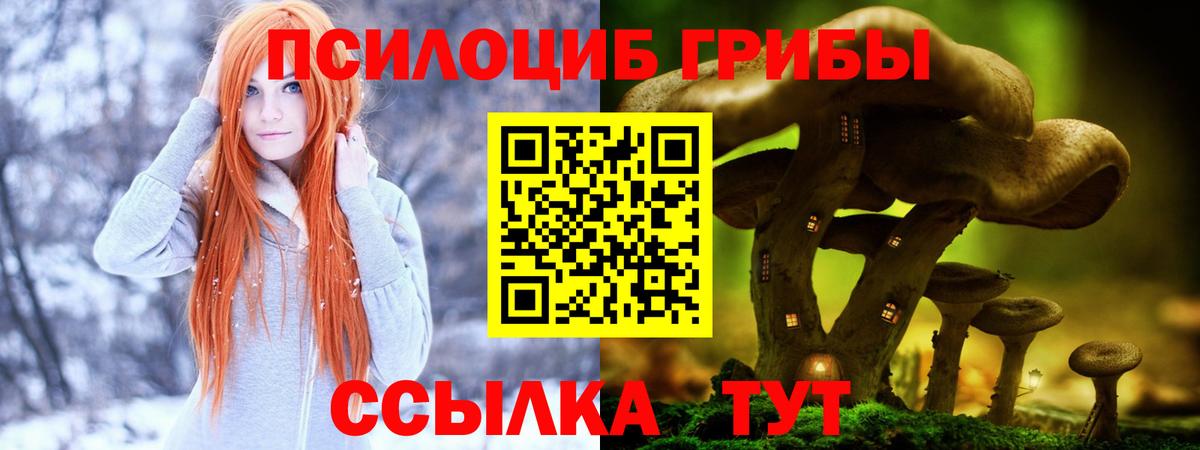Галлюциногенные грибы Psilocybine cubensis Узловая
